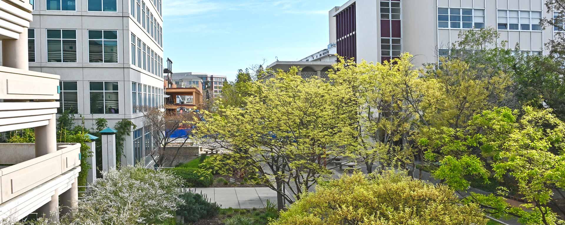 San Mateo County government center buildings